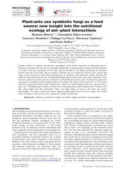 Plant-ants use symbiotic fungi as a food source: new insight into the