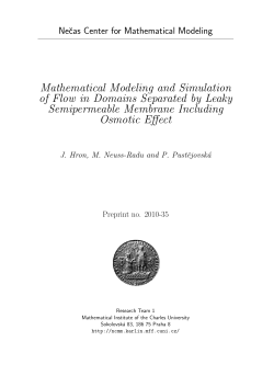 Mathematical Modeling and Simulation of Flow in Domains