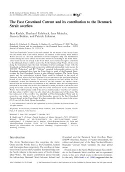 The East Greenland Current and its contribution to the Denmark