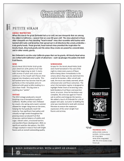 2013 Gnarly Head California Petite Sirah Tasting Note