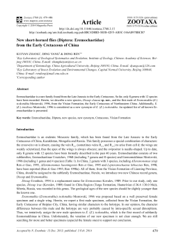 Preview - Magnolia press