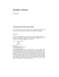 Quantifiers in Turkish