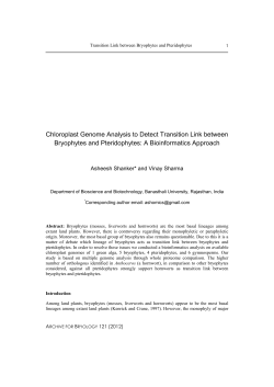 Chloroplast Genome Analysis to Detect Transition Link between