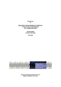 Segmentation, Network Multipliers and Spillovers: A Theory of Rural