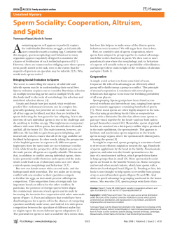Sperm Sociality: Cooperation, Altruism, and Spite