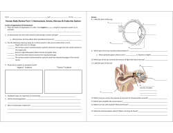 Human Body Review Part I | Homeostasis, Senses, Nervous
