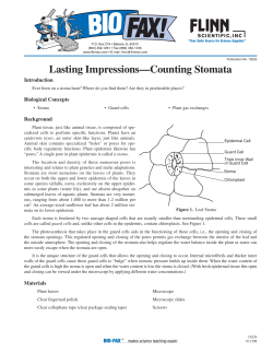 BF#10226 Lasting Impressions&mdash;Counting Stomata