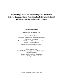 Shine-Dalgarno Anti-Shine-Dalgarno Sequence