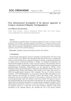 First ultrastructural investigation of the pharynx apparatus of