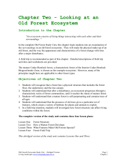 Looking at an Old Forest Ecosystem