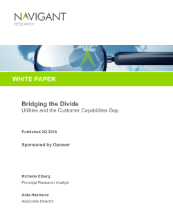 Learn more about utilities and the customer gap