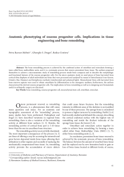 Anatomic phenotyping of osseous progenitor cells