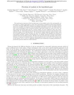 Precision of readout at the hunchback gene