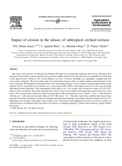 Impact of erosion in the taluses of subtropical orchard terraces
