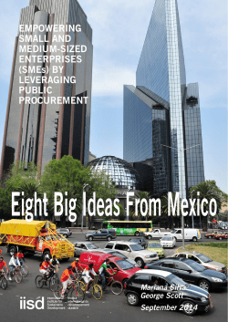 Leveraging Public Procurement to Encourage Economic Growth and