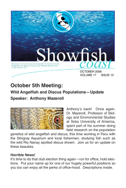 October 2008 - COAST Fish Club California