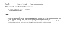 Math 811 Geometry Project Name