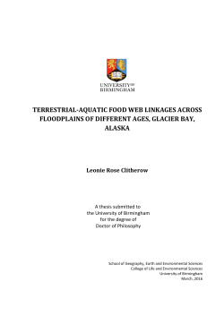 Terrestrial-aquatic food web linkages across floodplains of different