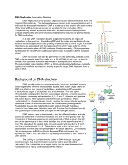 Background on DNA structure
