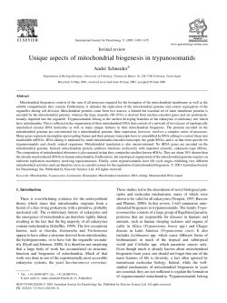 Unique aspects of mitochondrial biogenesis in trypanosomatids