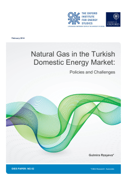 Natural Gas in the Turkish Domestic Energy Market