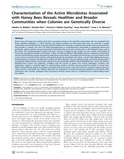 Characterization of the Active Microbiotas