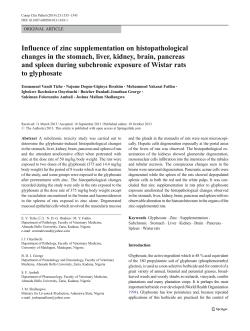 Influence of zinc supplementation on histopathological changes in