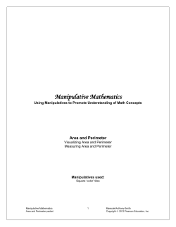 Manipulative Mathematics
