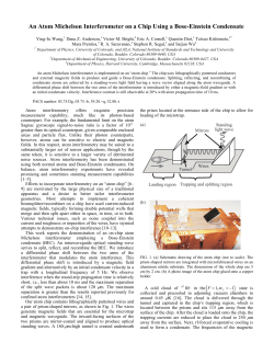 An Atom Michelson Interferometer on a Chip Using a Bose