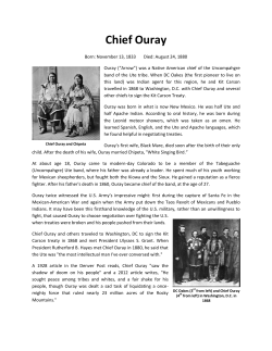 Chief Ouray - Jellystone Park&trade; Larkspur