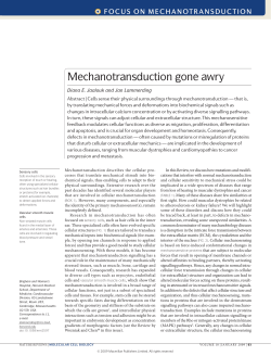 Mechanotransduction gone awry