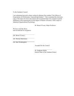 The effects of expectations on performance