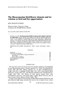 The Macaronesian birdflower element and its