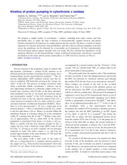 Kinetics of proton pumping in cytochrome c oxidase