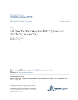 Effects of Plant Stress on Facultative Apomixis in Boechera