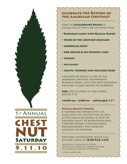 saturday 9.11.10 - Cataloochee Ranch