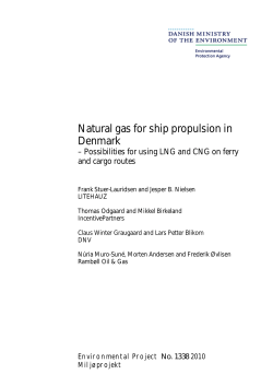 Natural gas for ship propulsion in Denmark