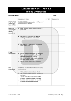 Level 2 Riding - Slip 3 Riding - Gymnastics or Over Fences