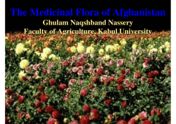 The Medicinal Flora of Afghanistan