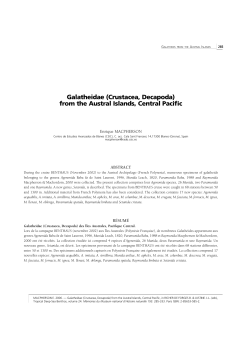 as a PDF