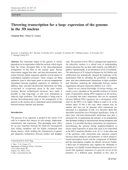 Throwing transcription for a loop: expression of the genome in the