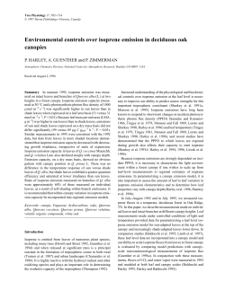 Environmental controls over isoprene emission in deciduous oak
