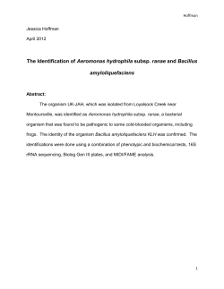 The Identification of Aeromonas hydrophila subsp. ranae and