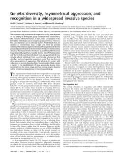 Genetic diversity, asymmetrical aggression, and recognition in a