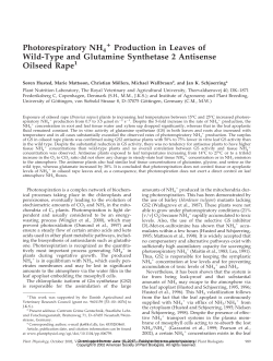 Photorespiratory NH4