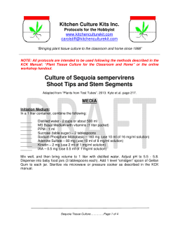 Culture of Sequoia sempervirens Shoot Tips and Stem Segments