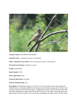 Aimophila aestivalis - Wildlife Resources Division