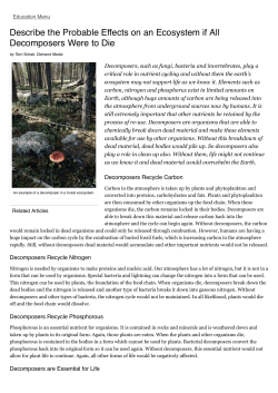 Describe the Probable Effects on an Ecosystem if All Decomposers