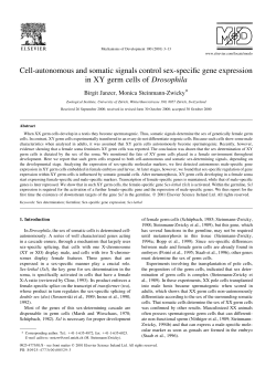 Cell-autonomous and somatic signals control sex