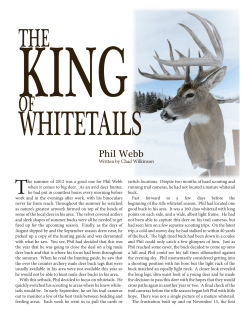 Phil Webb - Big Game Illustrated